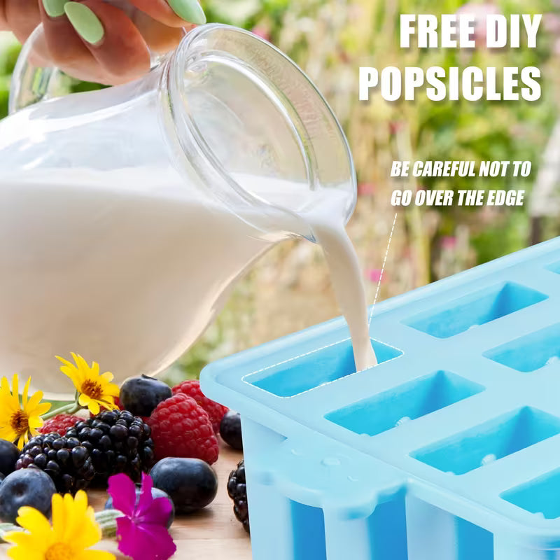 12-Grid Ice Pops & Kulfi Maker Tray with Lid