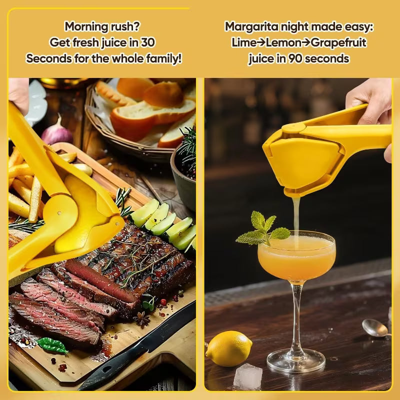Handuice Citrus Squeezer & Manual Juicer
