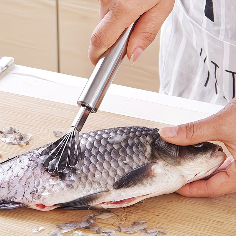 MultiGrate Pro Stainless Steel Fruit & Veg Scraper Tool - Buy 1 Get 1 Free
